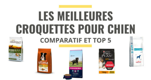 Top 5 Des Meilleures Croquettes Pour Chien Comparatif 2021 Le Juste