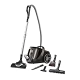 Dyson ou Rowenta V8 Absolute