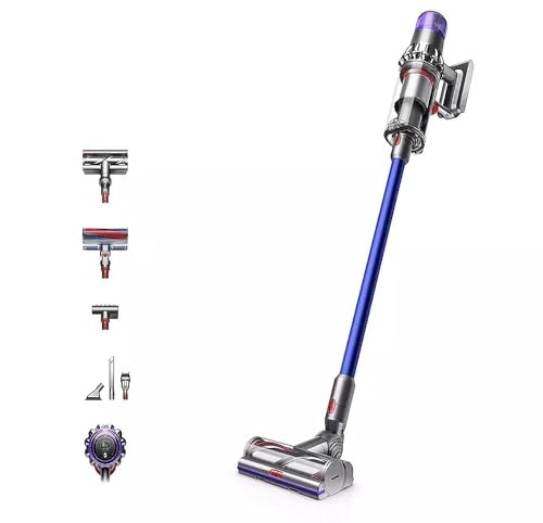 Rowenta Air Force Flex 760 vs Dyson V11 différence