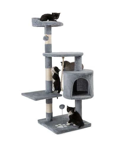Meilleur arbre à chat solide