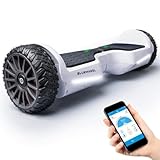 Meilleur hoverboard tout terrain Bluewheel