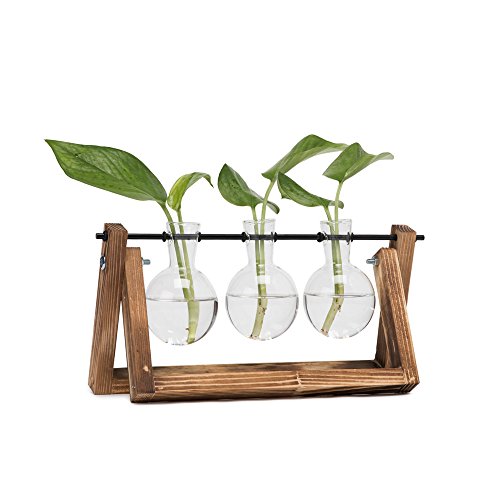Vase pour bambou comparatif