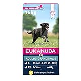 Meilleures croquettes pour chien Eukanuba