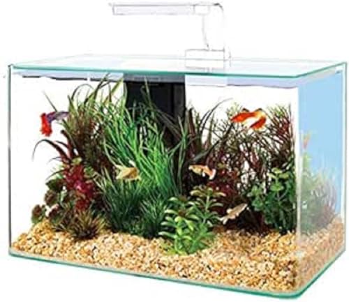 Aquarium 20l