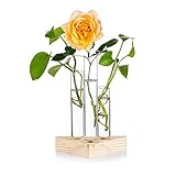 Vase pour bambou Glasseam