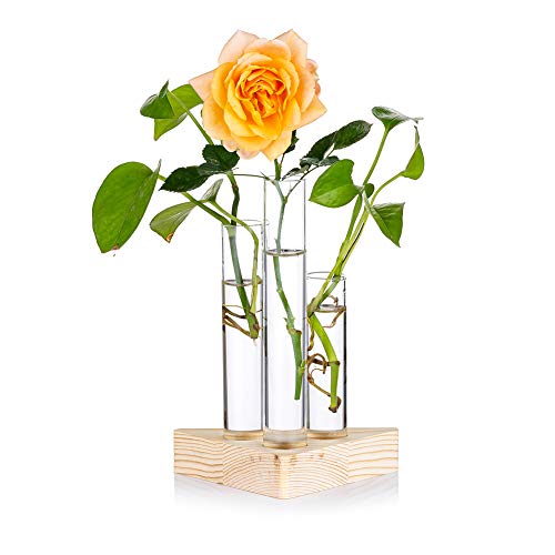 Vase pour bambou prix