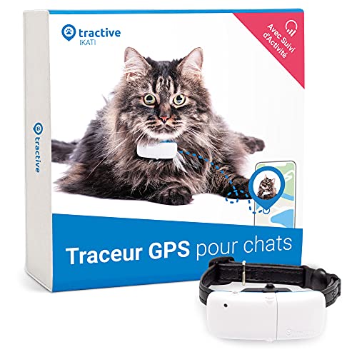 Meilleur collier GPS pour chat