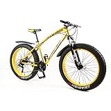 Fat bike Leclerc MYTNN