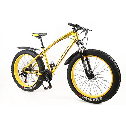 Fat bike Leclerc prix