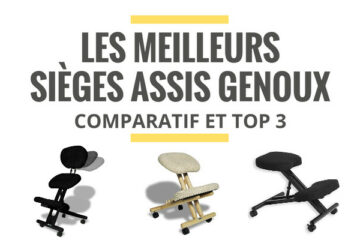 meilleur siege assis debout comparatif