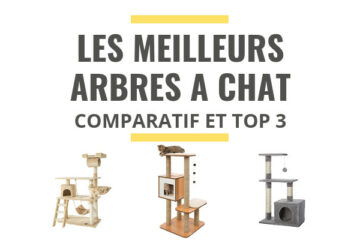 meilleur arbre a chat comparatif