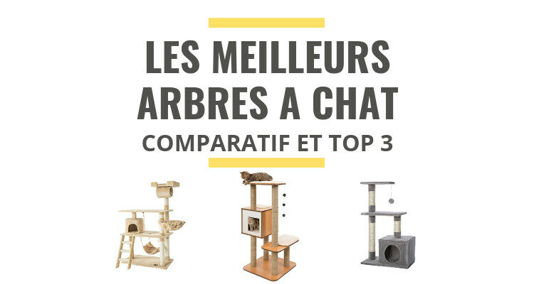 meilleur arbre a chat comparatif