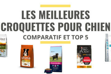 meilleure croquette chien comparatif