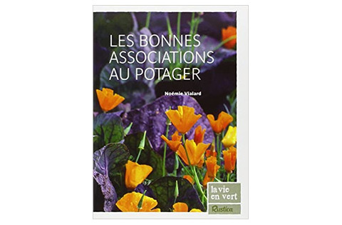 Les bonnes associations au potager