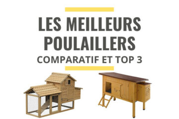 meilleur poulailler comparatif