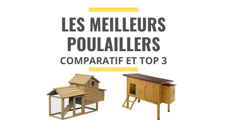 meilleur poulailler comparatif