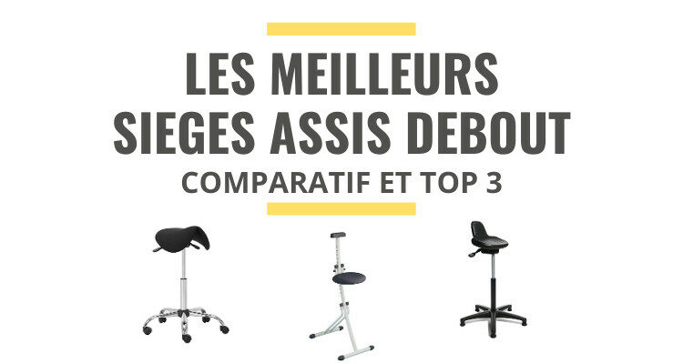 meilleur siège assis debout comparatif