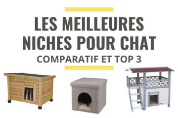 meilleure niche pour chat comparatif