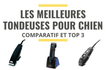 meilleure tondeuse pour chien comparatif