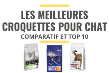 meilleures croquettes pour chat comparatif