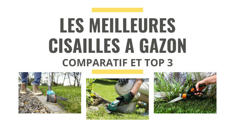 meilleure cisaille à gazon comparatif