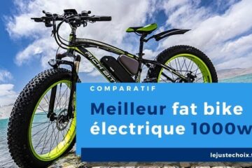 Avis fat bike électrique 1000w