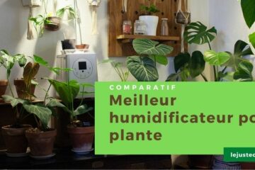 Avis humidificateur pour plante