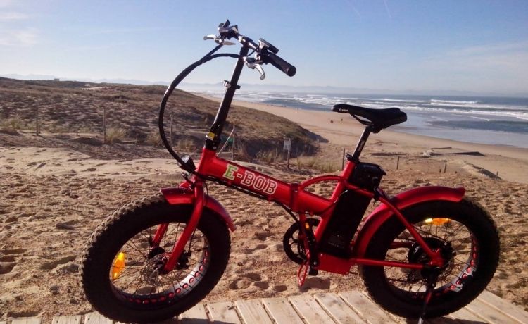 Fat bike pliant comparatif