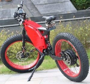 Prix fat bike électrique 3000w