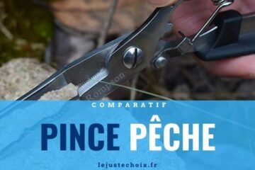 Avis pince pêche