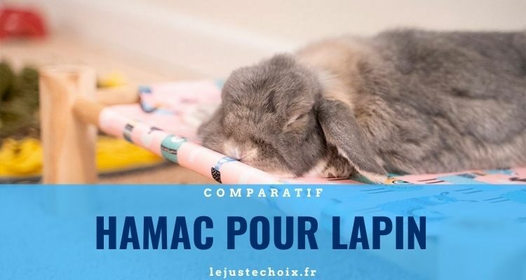 Avis hamac pour lapin