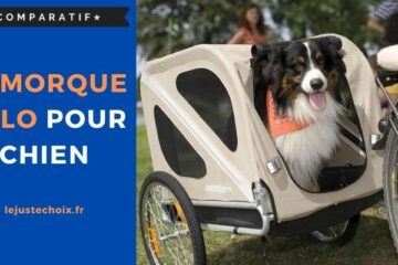 Avis remorque vélo pour chien