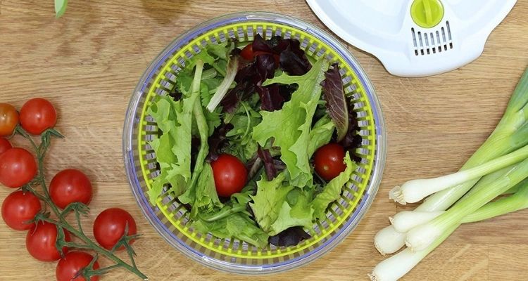 Mini essoreuse salade meilleur choix