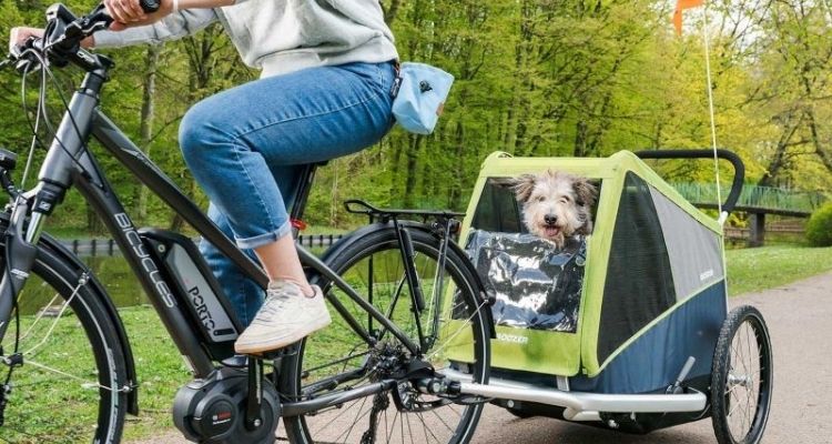 Remorque vélo pour chien légère