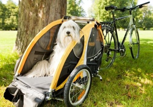 Remorque vélo pour chien solide