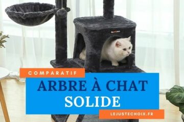 Avis arbre à chat solide