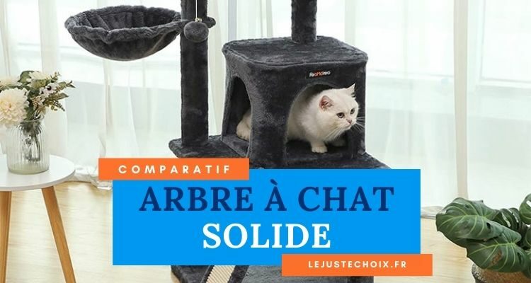 Avis arbre à chat solide