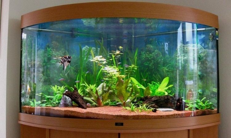 Aquarium avec meuble solide