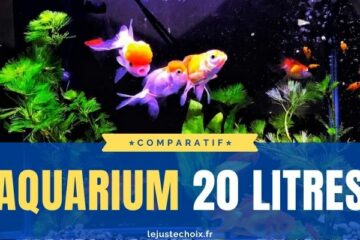 Avis aquarium 20l