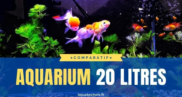 Avis aquarium 20l