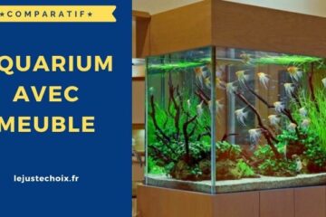 Avis aquarium avec meuble