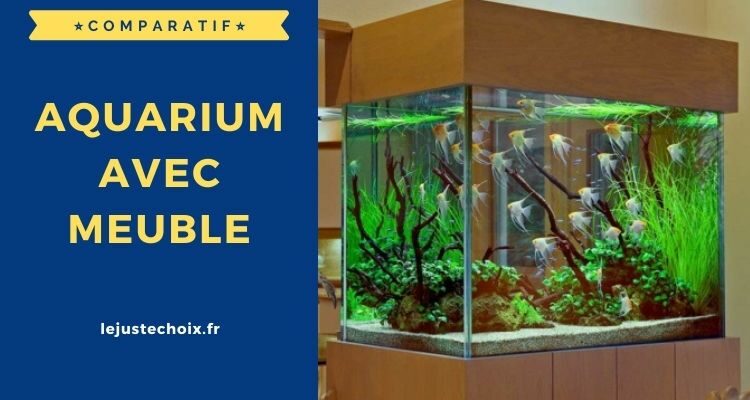 Avis aquarium avec meuble