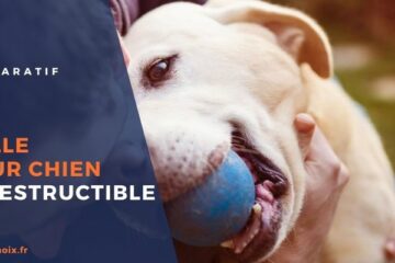 Avis balle pour chien indestructible