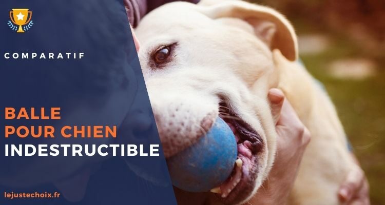 Avis balle pour chien indestructible