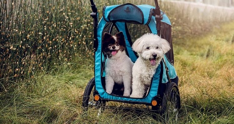 Poussette chien tout terrain solide