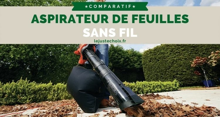 Avis aspirateur de feuille sans fil