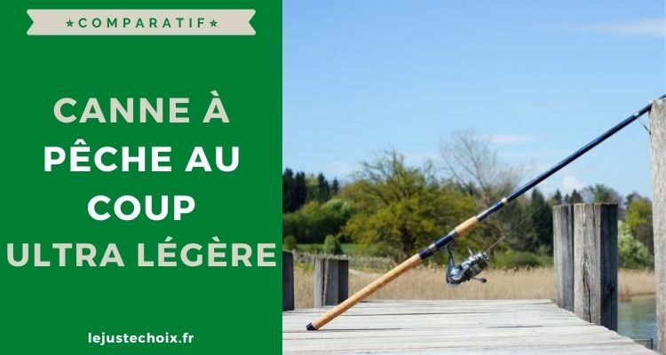 Avis canne à pêche au coup ultra légère