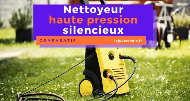 Ballistol Nettoyant Pour Silencieux D’arme – Efficace, Sans Acide, Inodore, Dissout Les Résidus Et Protège Contre La Rouille