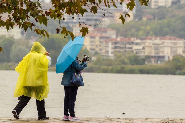 Meilleur parapluie résistant