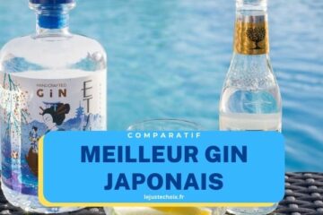 Avis gin japonais